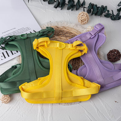 comprar Neoprene personalizado con correa para perros para mascotas, correa y cuello para ajuste ajustable Fabricación en línea