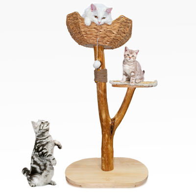 comprar Torre de gatos de madera natural de varios niveles de diseño moderno para una escalada fácil para gatos pequeños y viejos Fabricación en línea