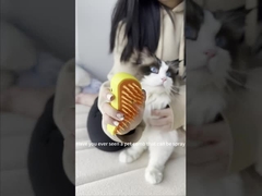 Cuero para mascotas Cuero para perros y gatos Cuero para quitar el vello Brush Recargable Spray de vapor portátil