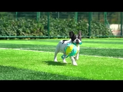 LED bola de perro volador juguetes interactivos para mascotas de caucho plástico juguetes interactivos para cachorros