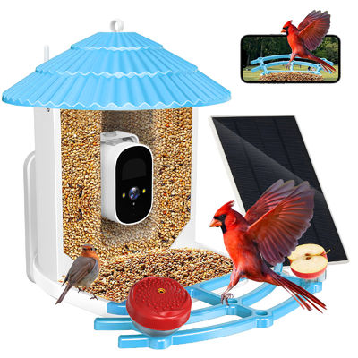 IP66 impermeable 4MP Smart Bird Feeder 2.5L Vida silvestre cámara inteligente para pájaros