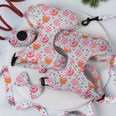 XS Arneses para perros y correa Conjunto de decoración de sublimación Escarla Conjunto de arneses para gatos