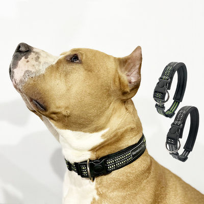 Collar para perros con luz intermitente negra Custom SML LED Light Up Dog Collar