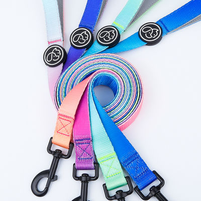 Collar de arnés impermeable con collar de correa con collar de cachorro azul rosa púrpura y plomo