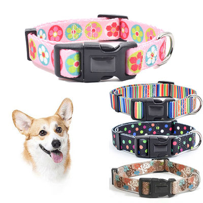 Collar de perros de moda de nylon con correa S M L Collares de gatos independientes personalizados