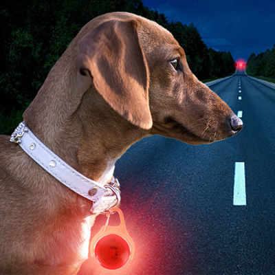 Etiqueta de collar de perro de silicona blanca azul verde parpadeante Etiquetas de identidad de perro floral