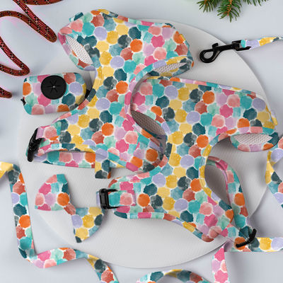 XS S M L XL Cachorro Arnés y correa Conjunto de malla de aire Collar de neoprene suave y conjunto de plomo