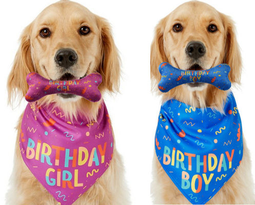 Perro de cumpleaños de la ocasión Bandana hueso masticar juego de mascotas personalizado impreso Bandanas