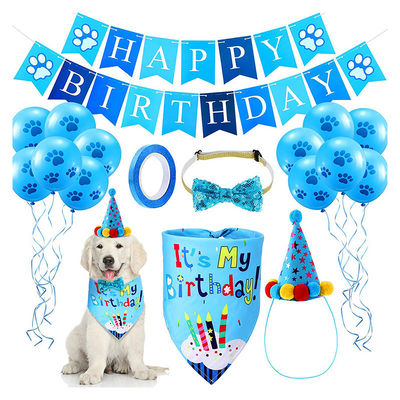 Suministros para la fiesta de cumpleaños del perro. Saca el sombrero de bandera y más. Prepárate para celebrar.